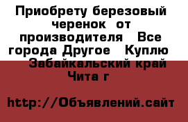 Приобрету березовый черенок  от производителя - Все города Другое » Куплю   . Забайкальский край,Чита г.